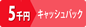 全世帯5千円キャッシュバック(2019年秋キャンペーン)