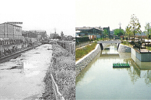 既存水路を改修し環境整備