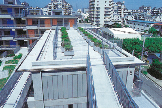 屋上の緑の道