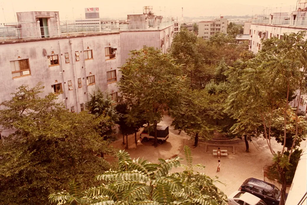 緑の豊かな中庭（1983年頃）