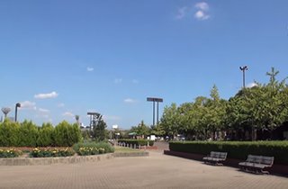 物件すぐ傍の「長居公園」はスポーツ施設、植物園など様々な施設がある