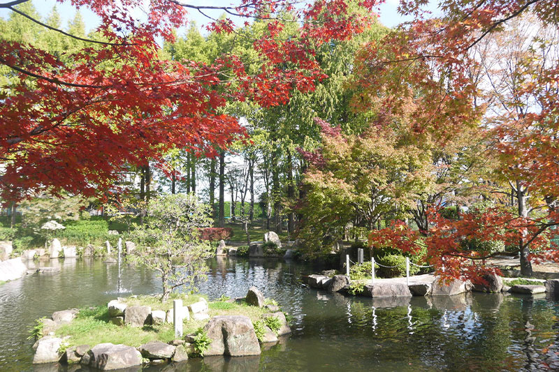 同じく「池の瀬公園」周辺の秋の様子。広大な敷地内を散策しながら、四季の移ろいを感じられます。