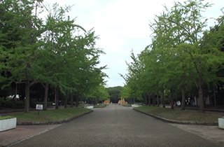 徒歩約１０分の「大泉緑地」は、大きな池、花壇が美しい緑豊かな大型公園