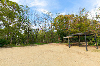 晴美公園