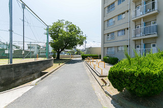 遊歩道