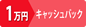 【ニコイチ限定】全世帯1万円キャッシュバック(2019年度秋キャンペーン)