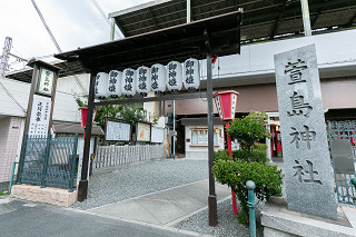 萱島神社くすのき