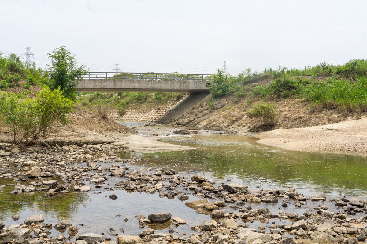 団地の目の前の河川敷は緑豊かで、ちょっとした川遊びができるエリアも。