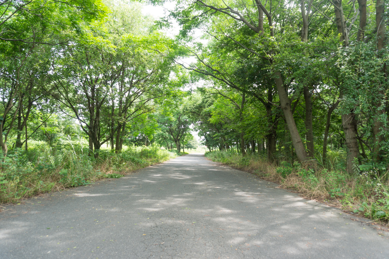 お休みの日にのんびり散歩したり、朝活でランニングするのにもぴったりな北河内サイクルラインも目の前です。