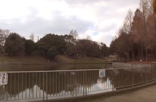 団地より徒歩約４分の「佐竹公園」は池の回りを歩けるのどかな公園