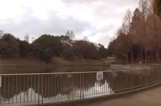 団地より徒歩約６分の「佐竹公園」は池の回りを歩けるのどかな公園