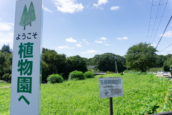 車で約3分と近い場所にある「大阪市立大学理学部付属植物園」  マイナスイオンを浴びに行くのはいかがでしょうか？