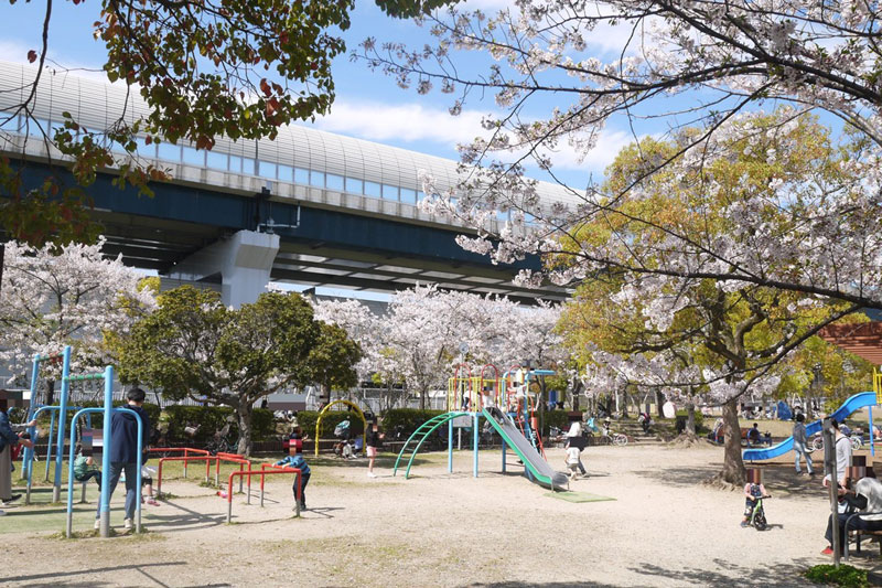 第二京阪道路沿いにある「南寝屋川公園」も徒歩10分ほど。アスレチック広場や散策路もあり市民の憩いの場となっています。