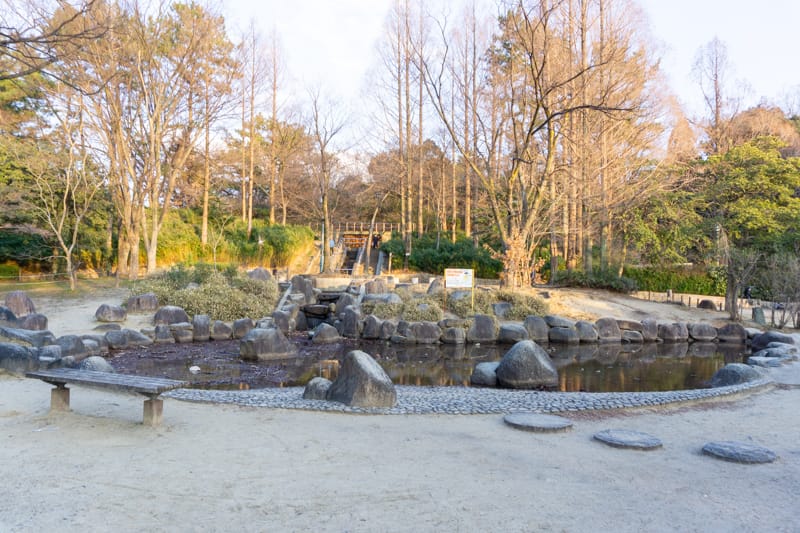 片山公園 池