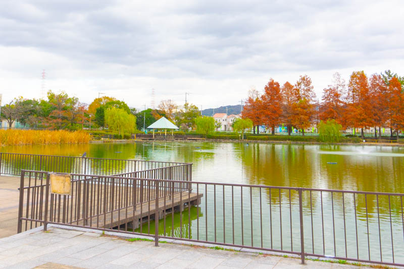 弁天池公園 弁天池