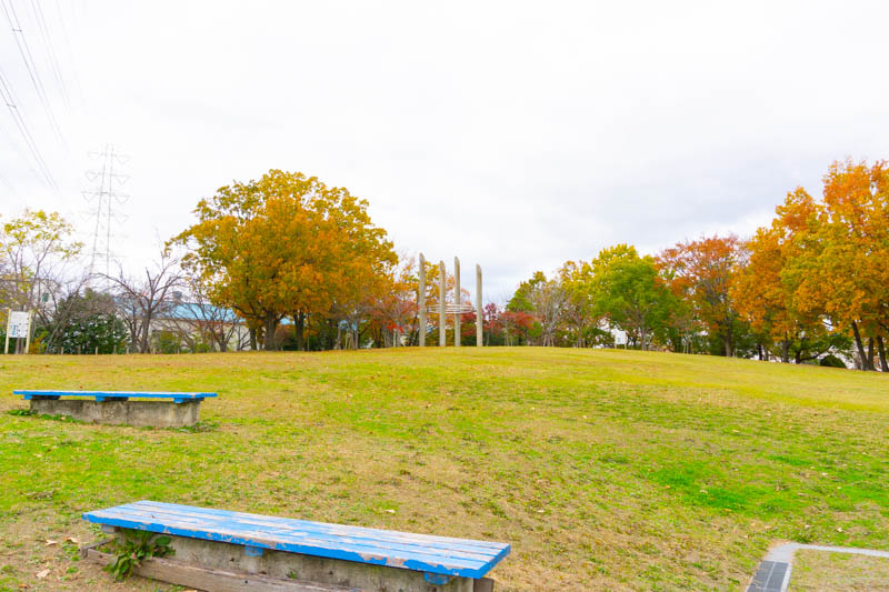 弁天池公園 芝生の広場