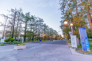 花博記念公園 鶴見緑地