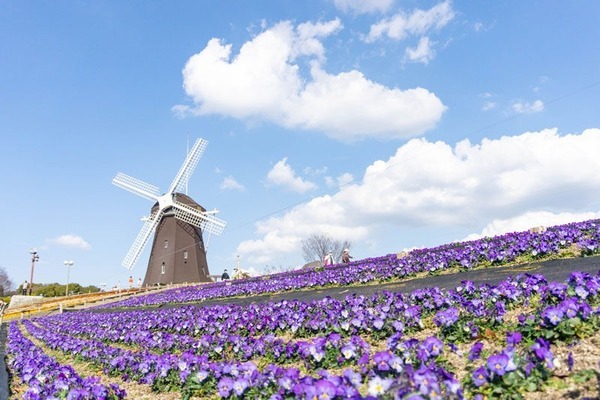 弁天池公園 芝生の広場