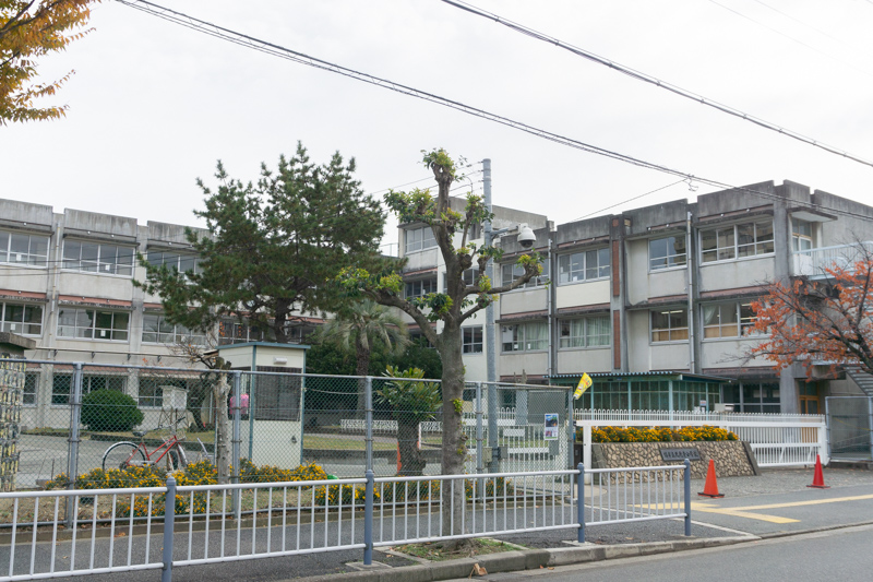 光竜寺小学校