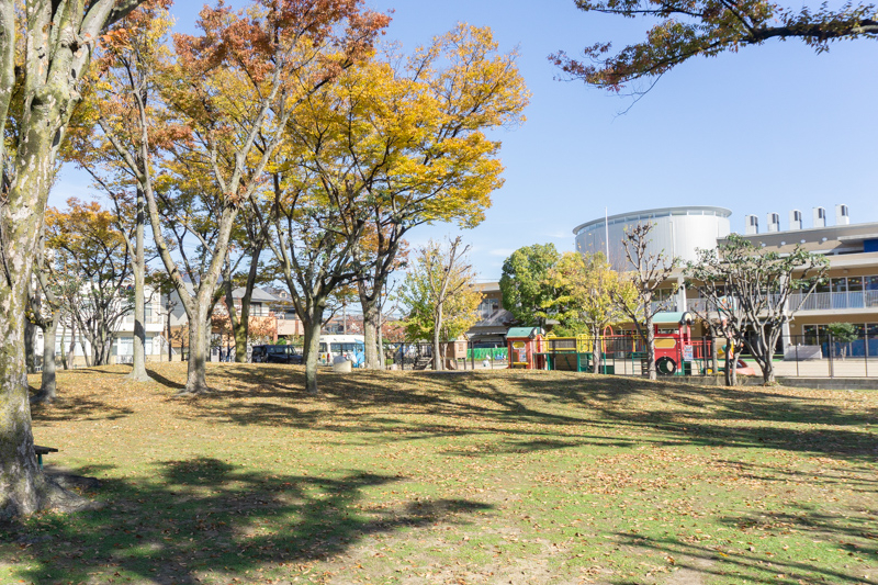 ひつじ公園