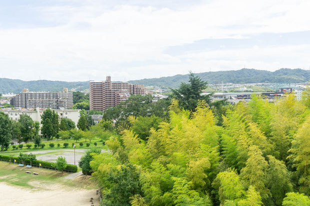 団地周辺の緑が多く静かな環境