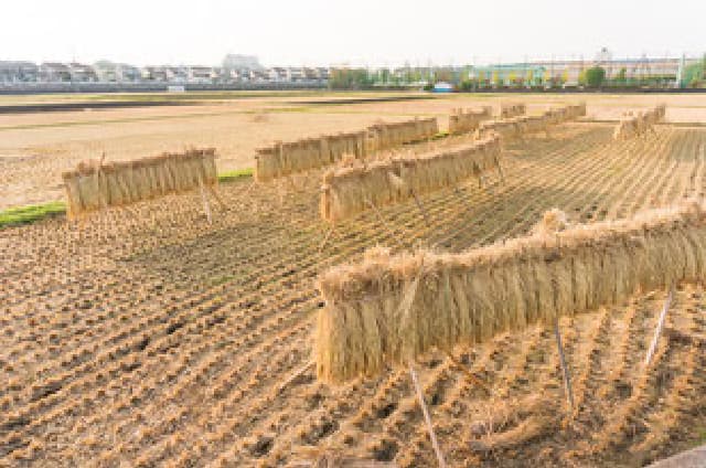 田園風景