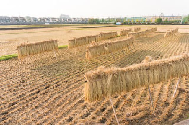 田園風景