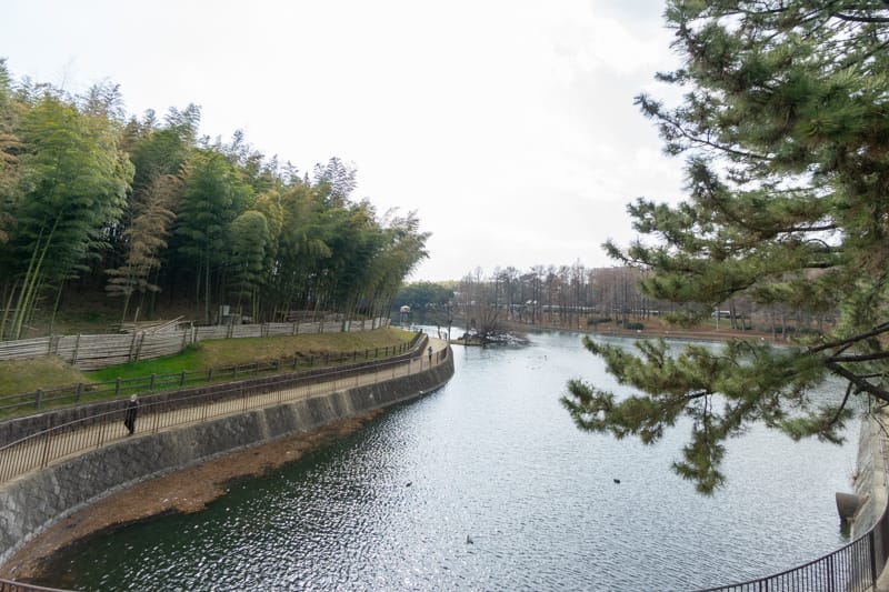 春日大池がある「桃山公園」