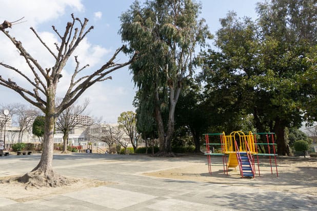 ももの木公園