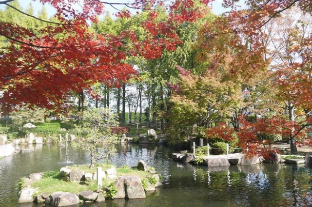 「池の瀬公園」内の紅葉