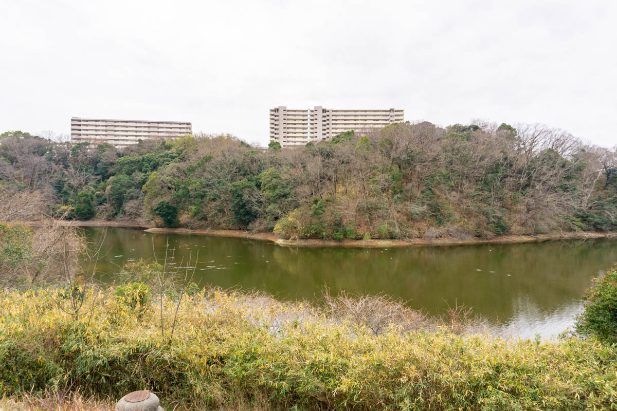 大蓮公園