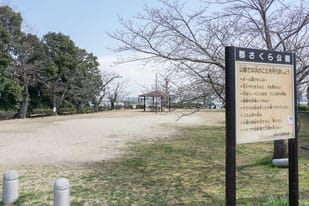 郡さくら公園