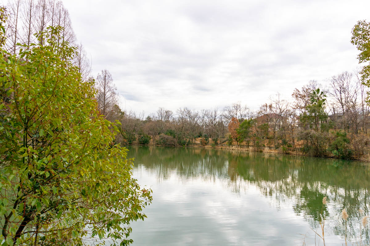 晴美公園