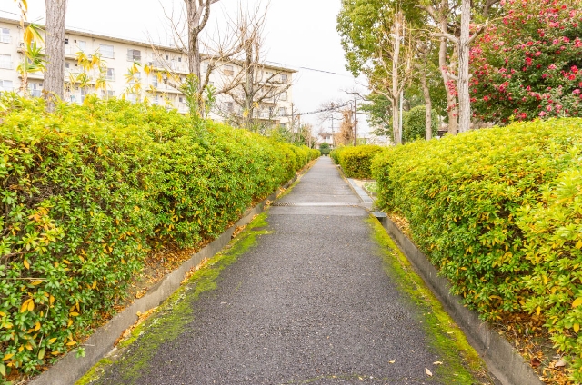 庭代台団地:両サイドに低木の植えられた小道
