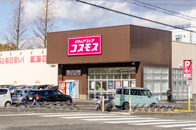 ドラッグストアコスモス 原山台店