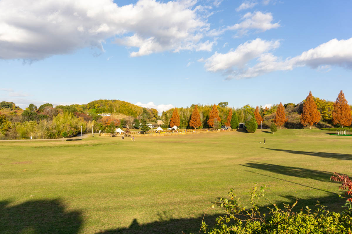 蜻蛉池公園