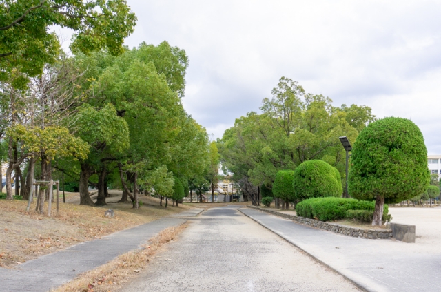 穴師公園:遊歩道