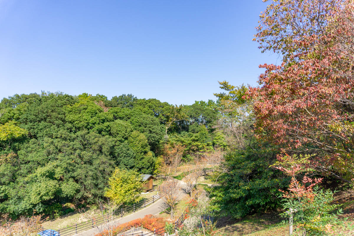 永楽ゆめの森公園