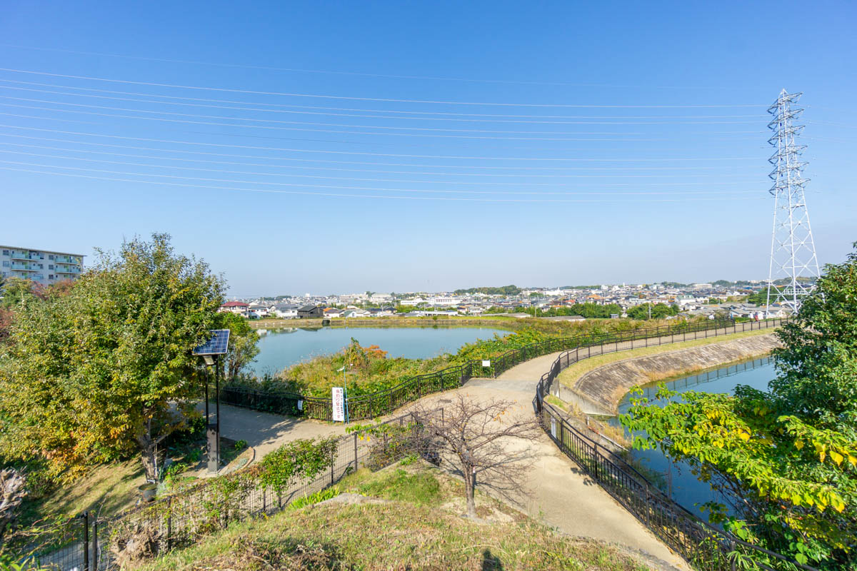 長池オアシス公園：池