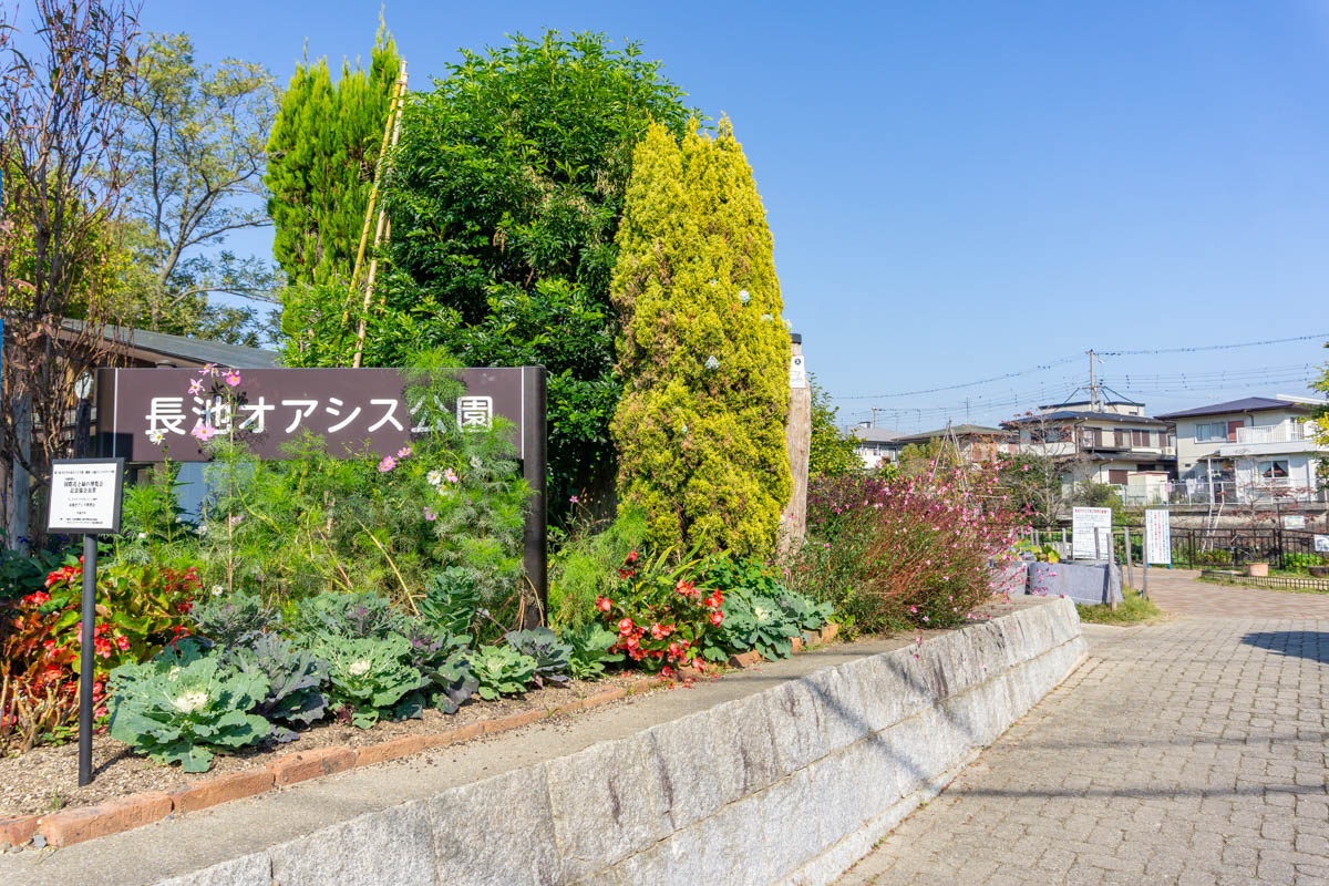 長池オアシス公園