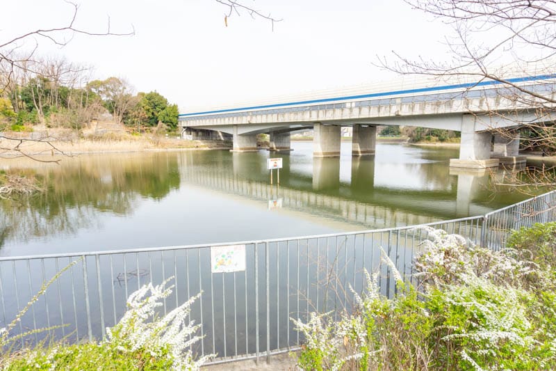 紫金山公園 釈迦ヶ池