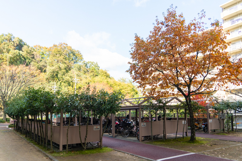 ロジェ長野 駐輪場