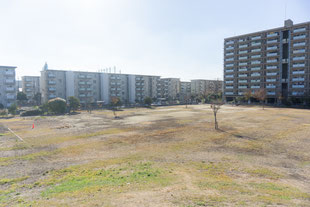朋来中央公園
