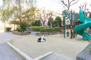 桜ヶ丘公園