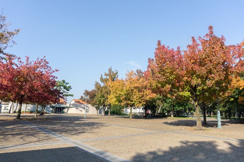 浜寺公園
