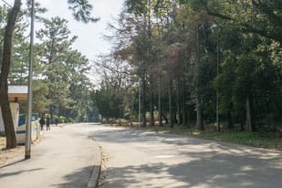 服部緑地 遊歩道