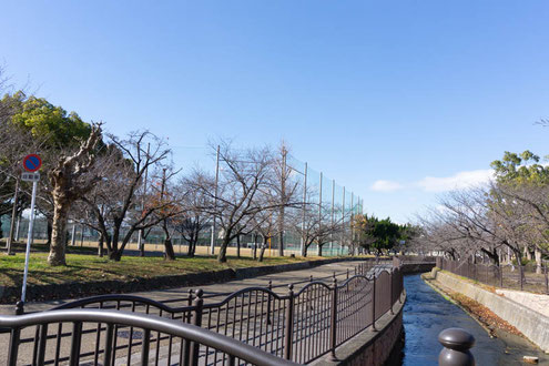 金岡公園