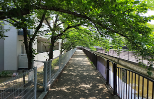 衣摺団地 散歩道