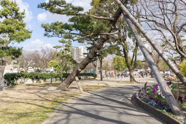 住吉公園 遊歩道