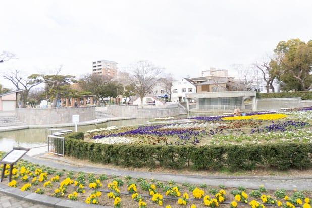 住吉公園 花壇